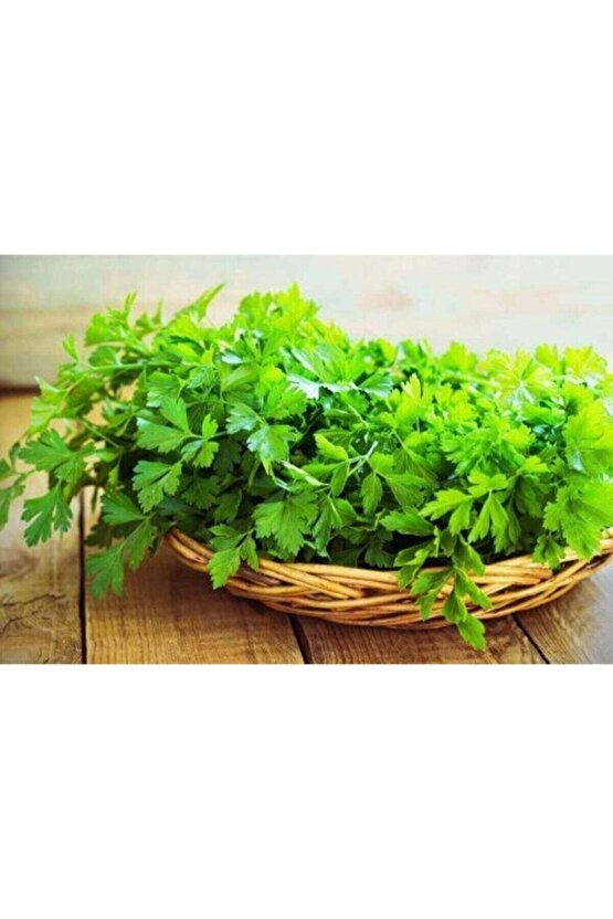 1 Kg Üreaz Azotlu Saf Azot