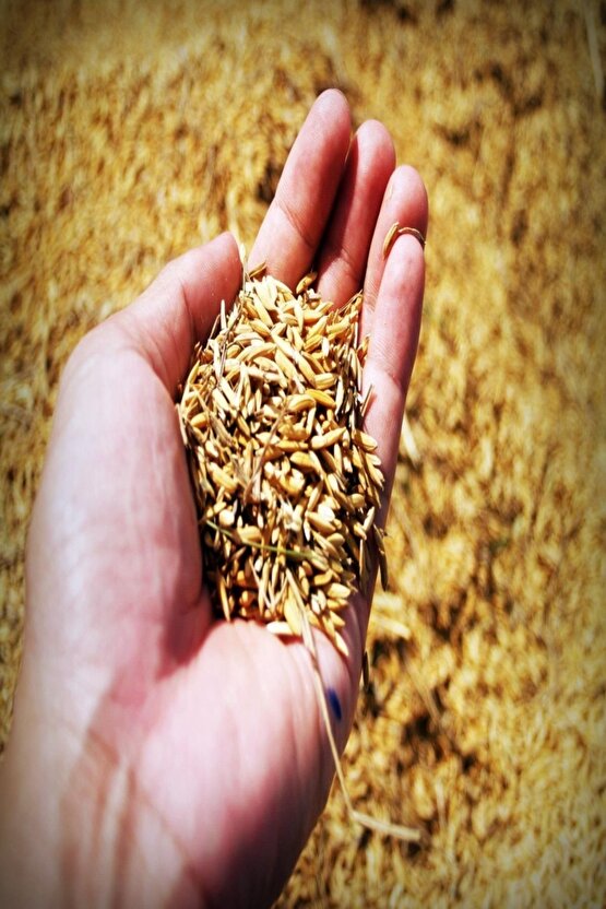 Granül Üre Gübresi %46 A- 1 Kg Tartılıp Başka Ambalajda Gönderilecektir