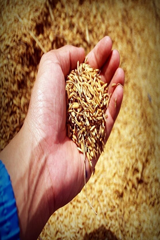 15.15.15 Npk Mega Tarım Kompoze Gübresi (3X15) - 3 Kg Tartılıp Başka Ambalajda Gönderilecektir