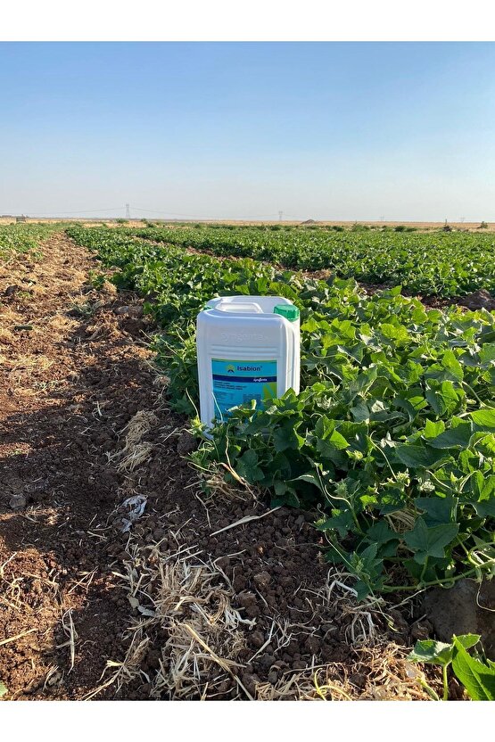 Isabion 20 lt Organik Ürünler Hayvansal Menşeli Aminoasit İçeren Sıvı Organik Gübre