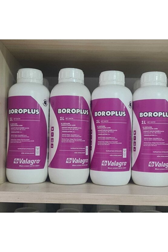 Boroplus Lt