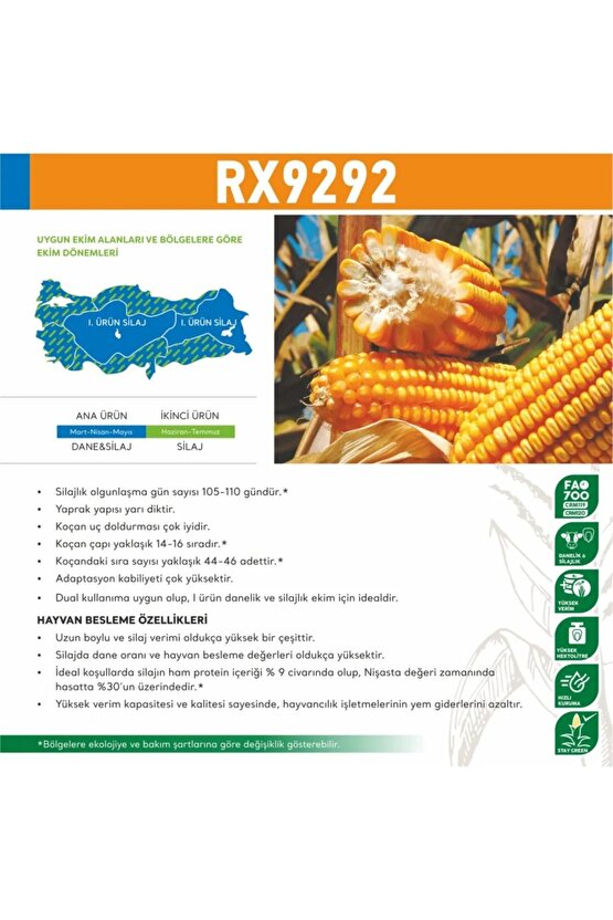 Rx9292 Danelik Mısır Tohumu 50000 Tohum 2025 Üretim