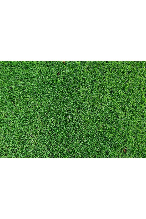 1 Kg Granül %46 Üre Gübresi - Bitki Canlandırmaya Ve Büyütmeye Yardımcı