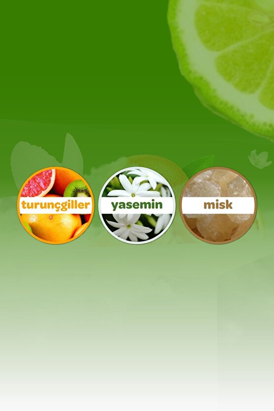 Kolonya 150 ml Orman Esintisi