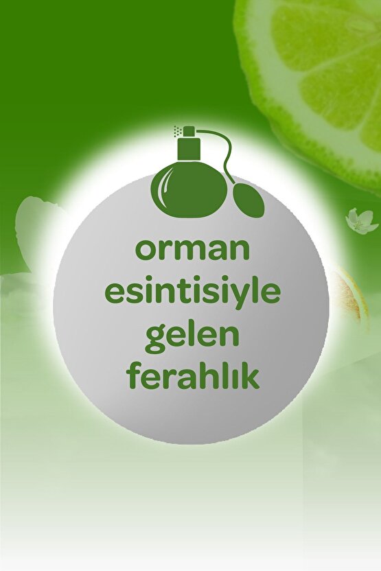 Kolonya 150 ml Orman Esintisi
