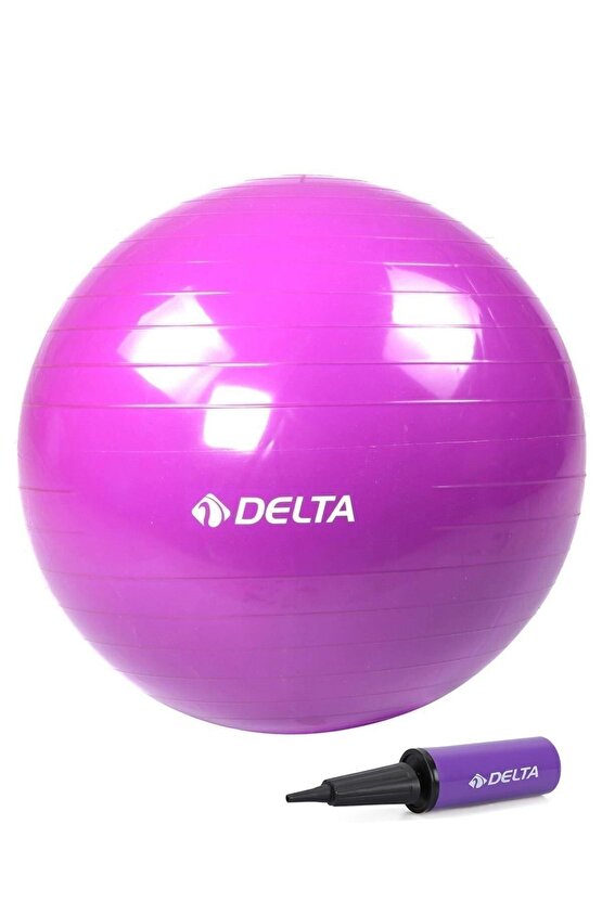 55 Cm Deluxe 140 Cm - 159 Cm Boy Aralığında Olanlar Için Uygun Mor Pilates Topu Ve Pompa Seti