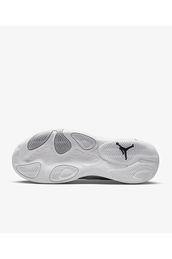 Jordan Max Aura 4 Erkek Basketbol Ayakkabısı