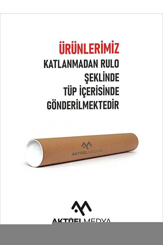 Matisse - Boho - Art Deco - Soyut - Doğa ( 3 lü Çerçevesiz ) Poster - Afiş - Tablo KR2C00135