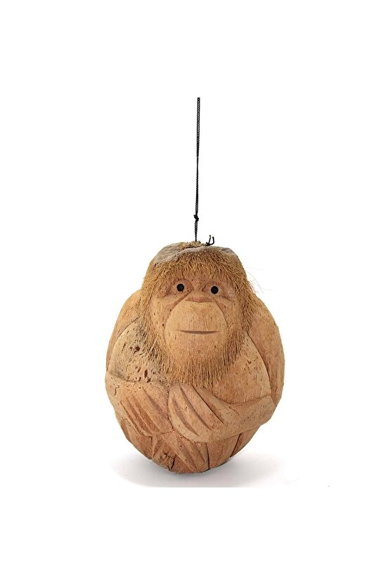 Coconat Maymun Büstü 3marakas-7