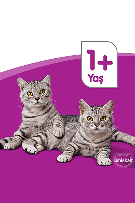 Tavuklu Sebzeli Kuru Kedi Maması 300 gr