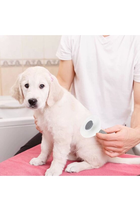 Kedi Köpek Tüy Toplayıcı Pet Tarak 20 Cm