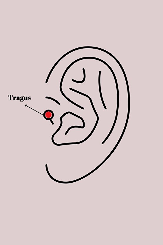 316l Çelik Gümüş Renk Zirkon Taşlı Kalp Model Tragus Piercing