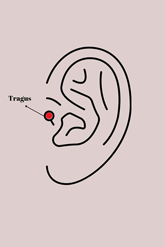 316l Çelik Gümüş Renk Zirkon Taşlı Deniz Yıldızı Model Tragus Piercing