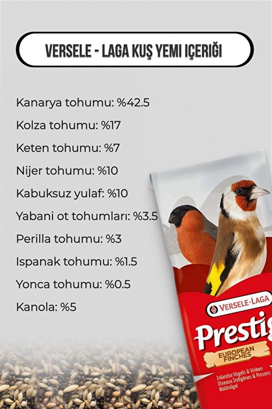 European Finches Finch Yemi 1 Kg
