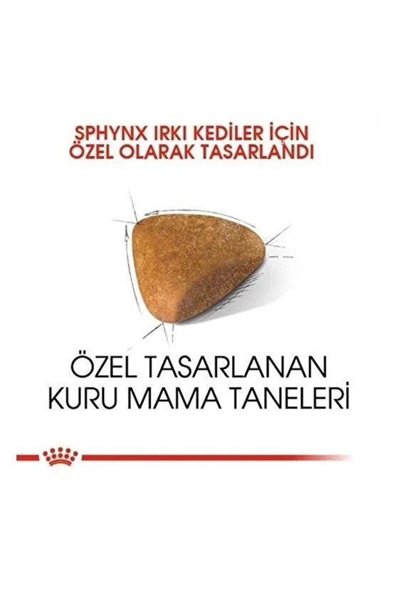 Tüysüz Sphynx Cinsi Yetişkin Kedi Maması 2 Kg