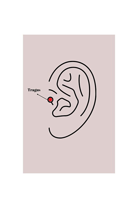 316l Çelik Gümüş Renk Zirkon Taşlı Model Sallantı Detay Tragus Piercing - Tj-pr1299