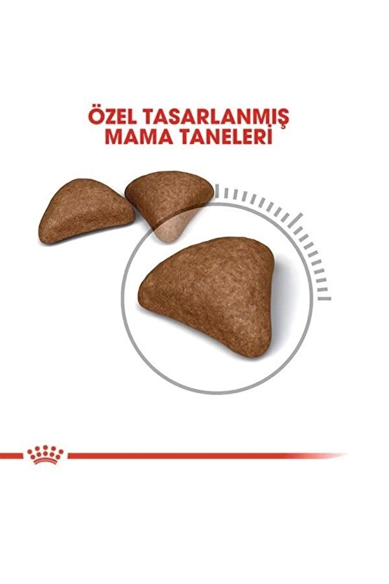 Hairball Tüy Yumağı Önleyici Yetişkin Kedi Maması 2 Kg