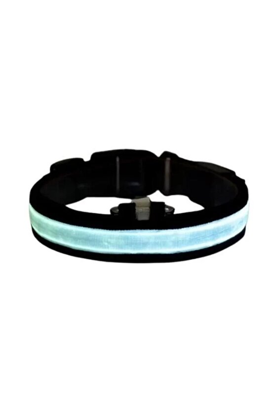 Işıklı Ayarlanabilir Flaşörlü Kedi Ve Köpek Boyun Tasması Mavi 45-52 Cm  2.5 Cm