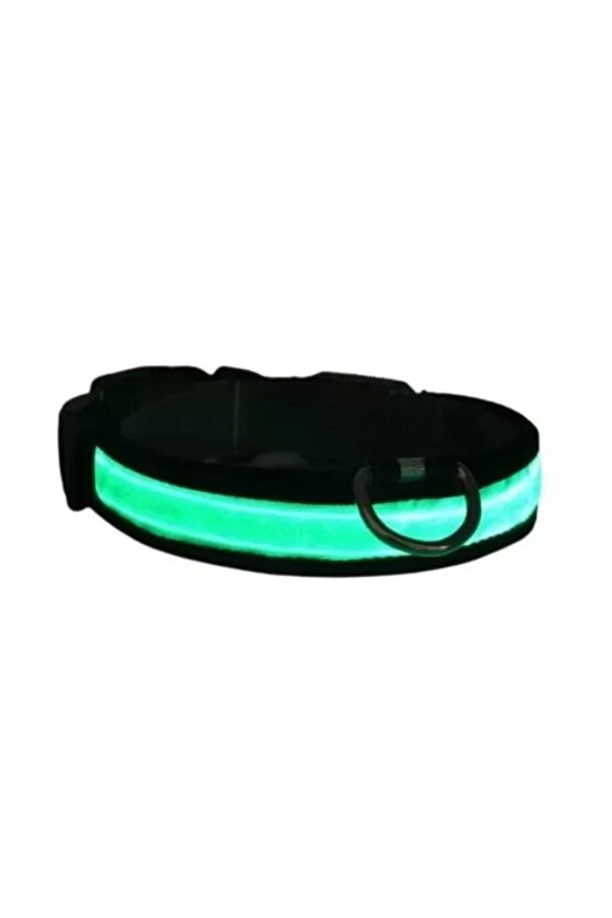 Işıklı Ayarlanabilir Flaşörlü Kedi Ve Köpek Boyun Tasması Yeşil 40-48 Cm  2.5 Cm