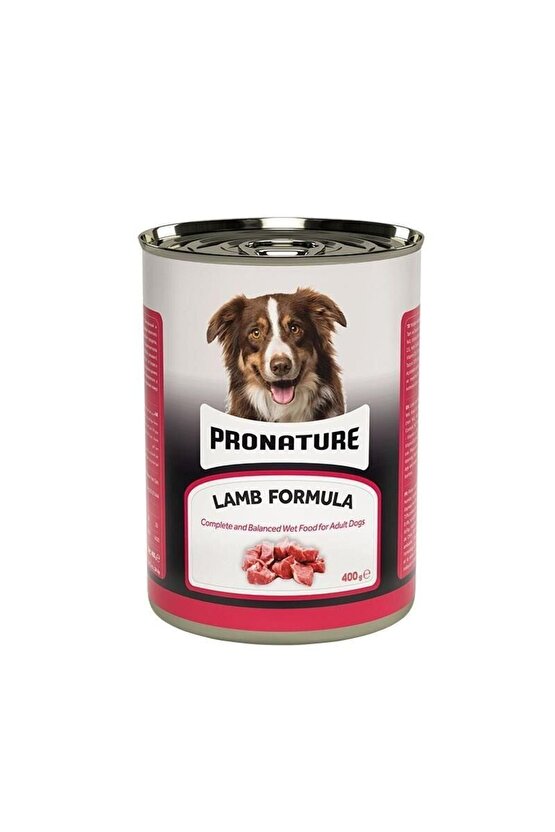 Kuzu Etli Parça Etli Yetişkin Köpek Konservesi 400 gr - Petshopundan