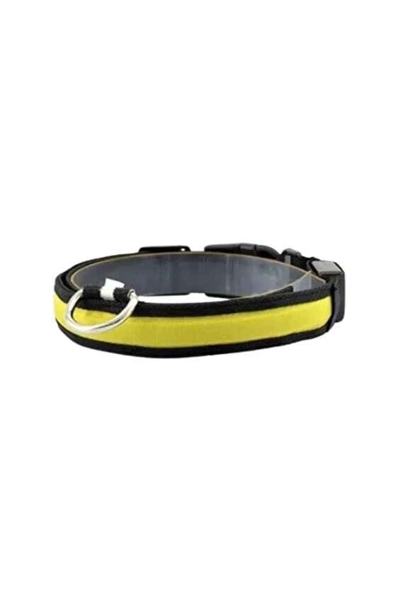 Işıklı Ayarlanabilir Flaşörlü Kedi Ve Köpek Boyun Tasması Sarı 40-48 Cm  2.5 Cm
