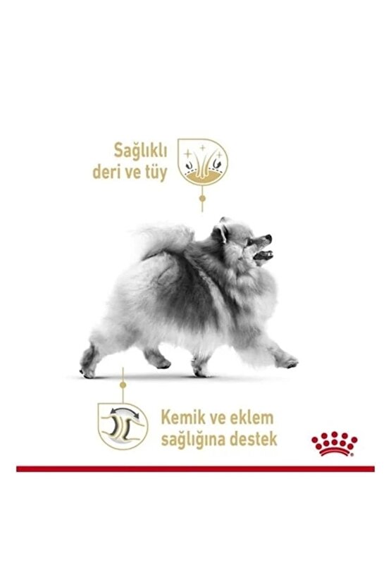 Pomeranian Adult Pouch Konserve Köpek Maması 85 gr