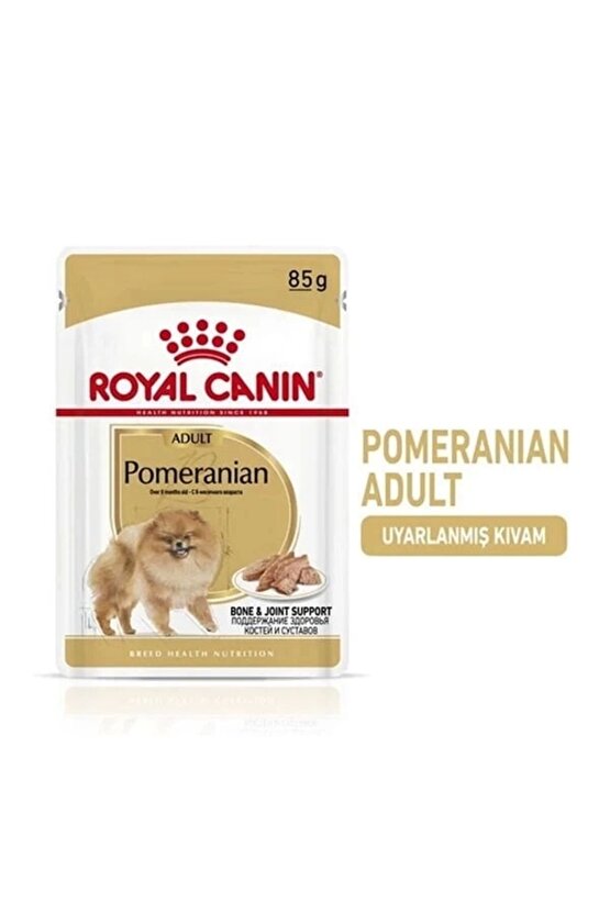 Pomeranian Adult Pouch Konserve Köpek Maması 85 gr