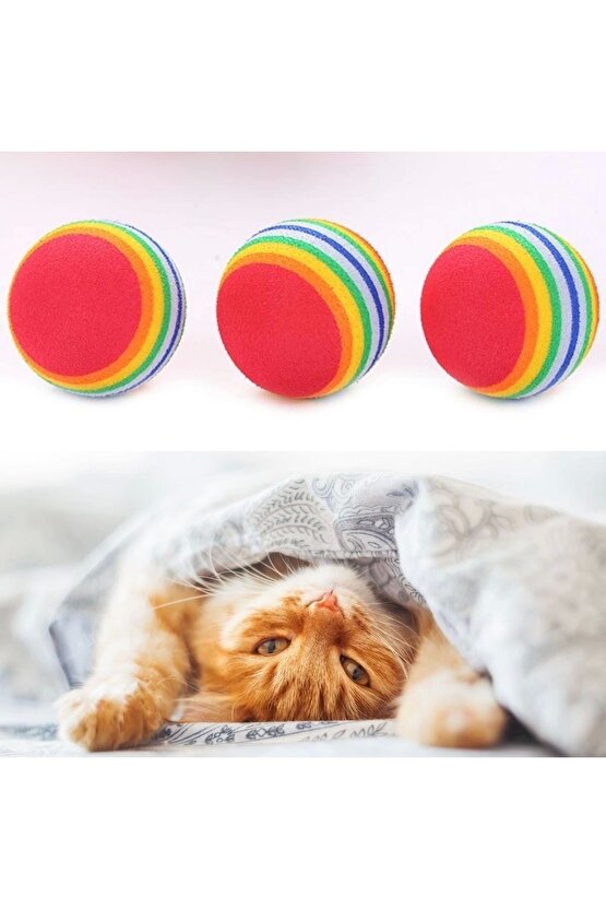 3lü Gökkuşağı Sünger Kedi Köpek Çiğneme Oyun Topu 42 cm (4767)