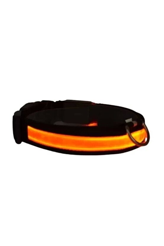 Işıklı Ayarlanabilir Flaşörlü Kedi Ve Köpek Boyun Tasması Kırmızı 40-48 Cm  2.5 Cm