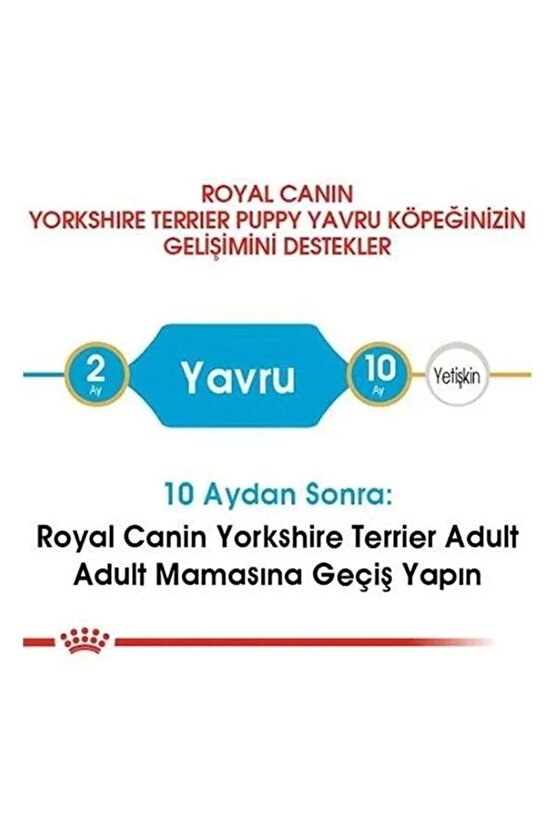 Yorkshire Terrier Junior Yavru Köpek Maması 1.5 Kg