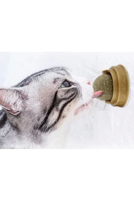 Kedi Nanesi Oyun Topu
