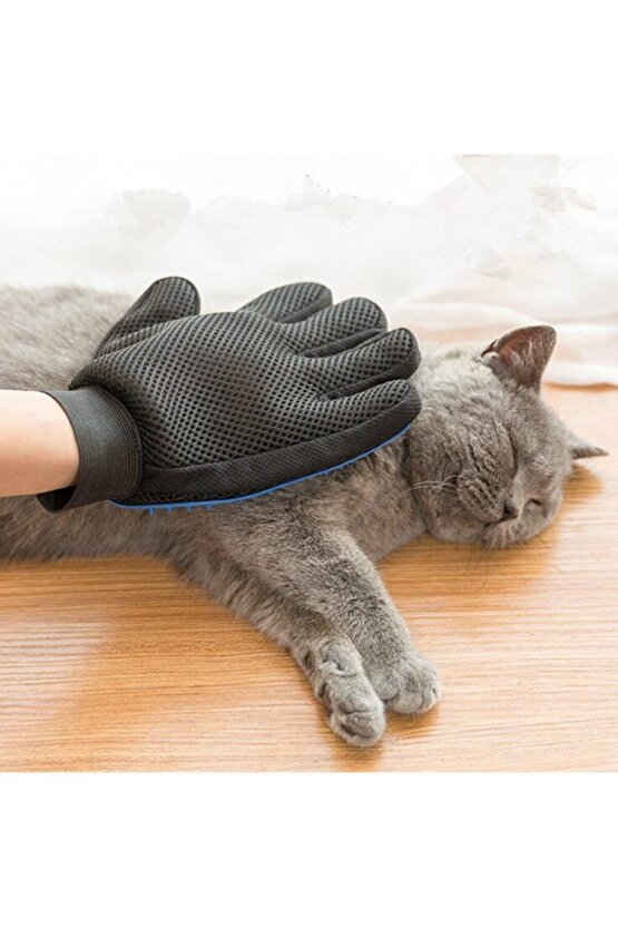 Tüy Toplayan Kedi Temizleme Eldiveni Kedi Tüy Toplama Eldiveni (4767) - Lisinya
