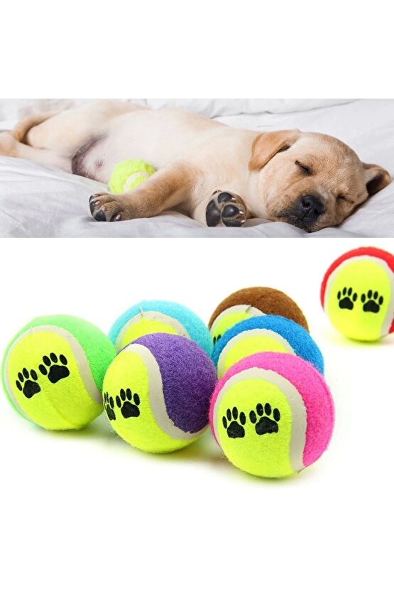 3&apos;lü Renkli Desenli Tenis Topu Kedi Köpek Oyuncağı (4767)