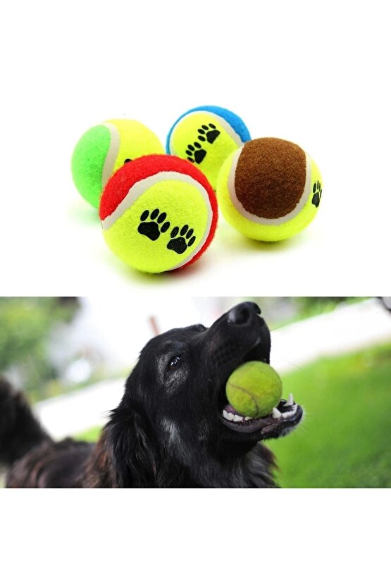 3&apos;lü Renkli Desenli Tenis Topu Kedi Köpek Oyuncağı (4767)