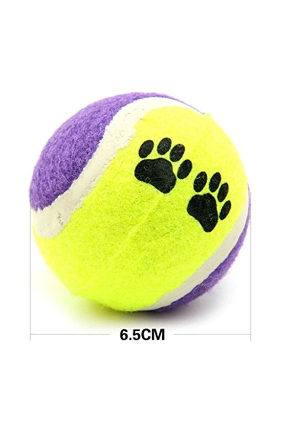 3&apos;lü Renkli Desenli Tenis Topu Kedi Köpek Oyuncağı (4767)