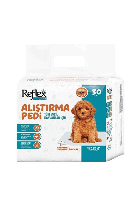 Care Köpek Tuvalet Alıştırma Pedi 60x90 Cm - Rfc-001 - Petshopundan