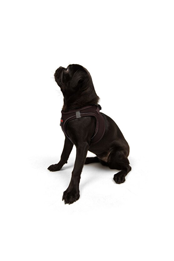 Air-mesh Küçük Ve Orta Irk Kedi Köpek Göğüs Tasması Yumuşak,nefes Alabilir, Dayanıklı Kahverengi