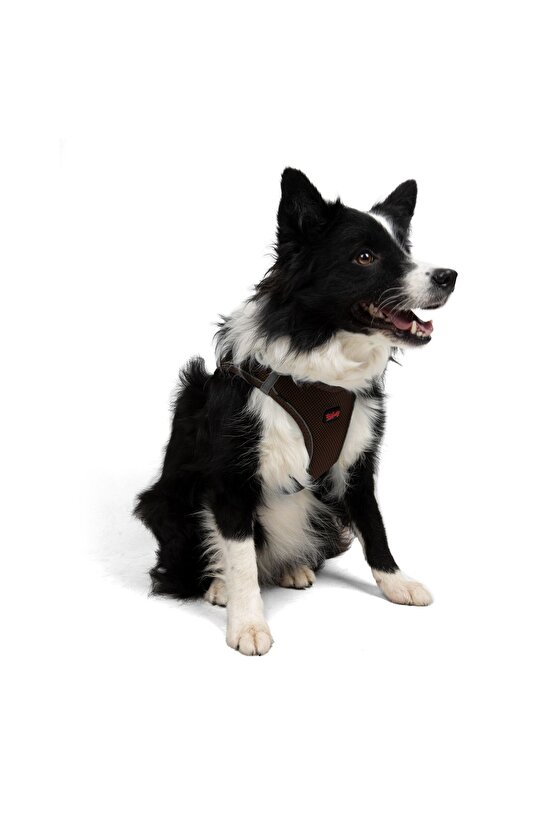 Air-mesh Küçük Ve Orta Irk Kedi Köpek Göğüs Tasması Yumuşak,nefes Alabilir, Dayanıklı Kahverengi
