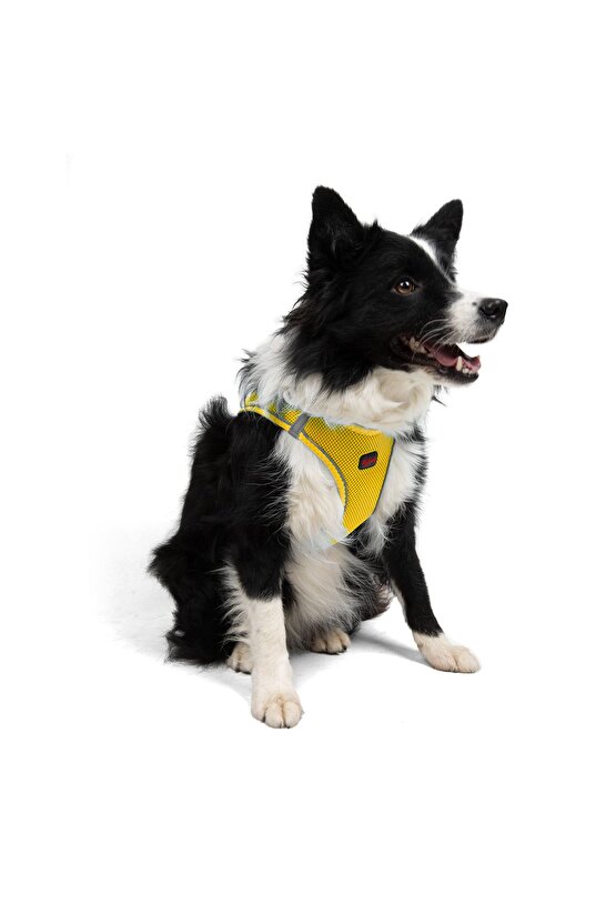 Air-Mesh Küçük ve Orta Irk Kedi Köpek Göğüs Tasması Yumuşak,Nefes Alabilir, Dayanıklı Sarı