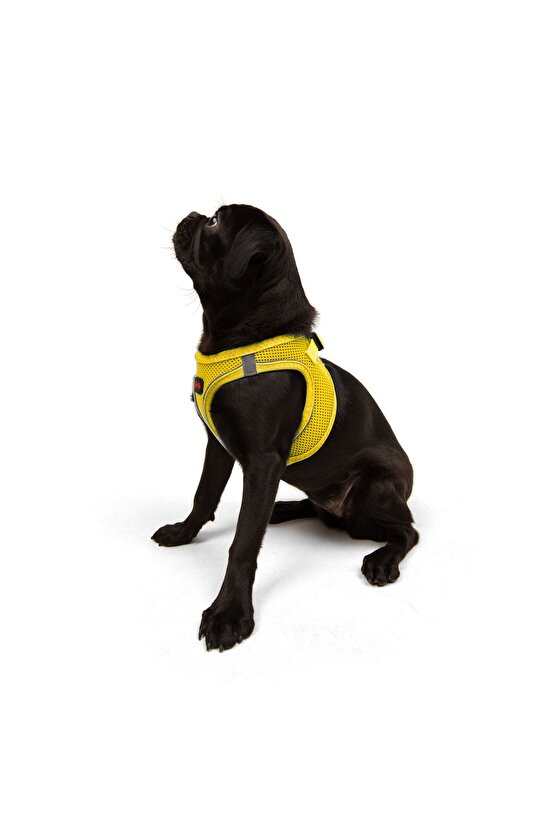 Air-Mesh Küçük ve Orta Irk Kedi Köpek Göğüs Tasması Yumuşak,Nefes Alabilir, Dayanıklı Sarı