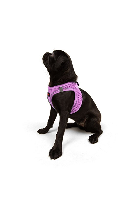 Air-Mesh Küçük ve Orta Irk Kedi Köpek Göğüs Tasması Yumuşak,Nefes Alabilir, Dayanıklı Lila