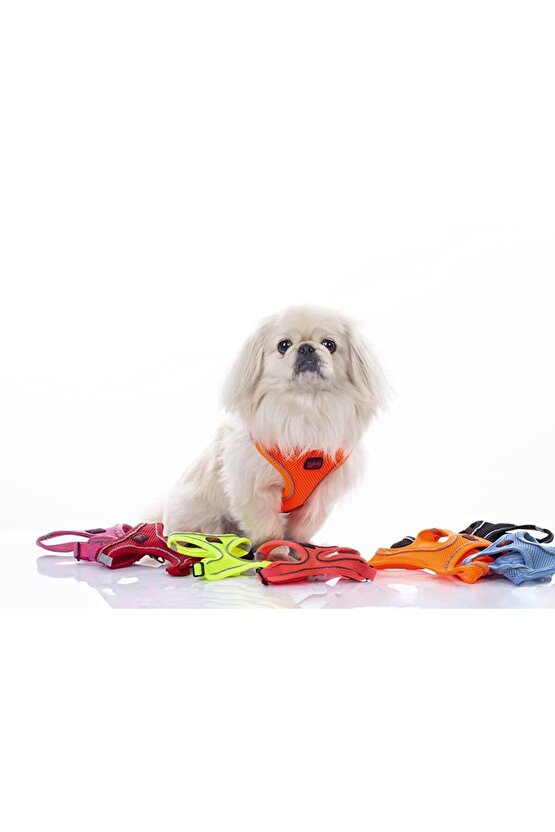Air-mesh Harness Köpek Göğüs Tasması Neon Pembe S