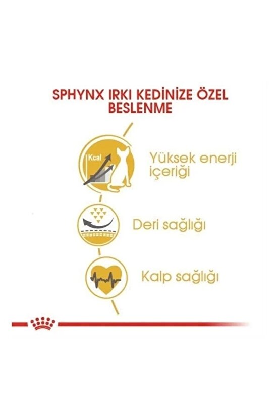 Tüysüz Sphynx Cinsi Yetişkin Kedi Maması 2 Kg
