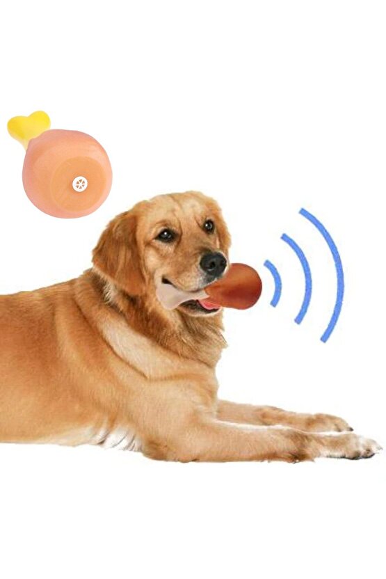 Köpekler İçin Oyuncak Tavuk Budu (4767)