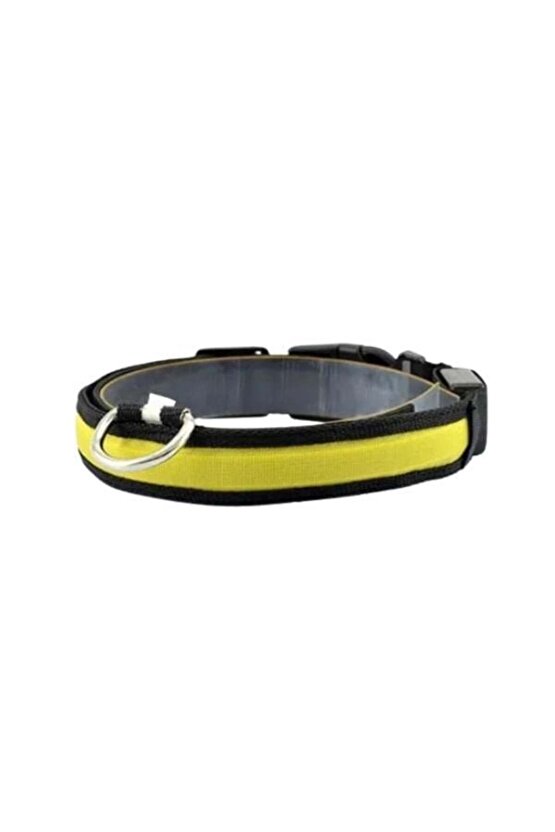 Işıklı Ayarlanabilir Flaşörlü Kedi Ve Köpek Boyun Tasması Sarı 45-52 Cm  2.5 Cm