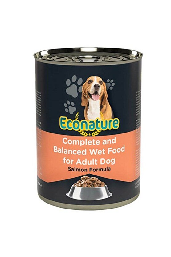Somonlu Yetişkin Köpek Konservesi 400 gr