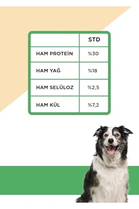 Hypo-allergenic Tahılsız Yetişkin Köpek Maması Kuzu, Enginar Ve Patatesli 12 Kg