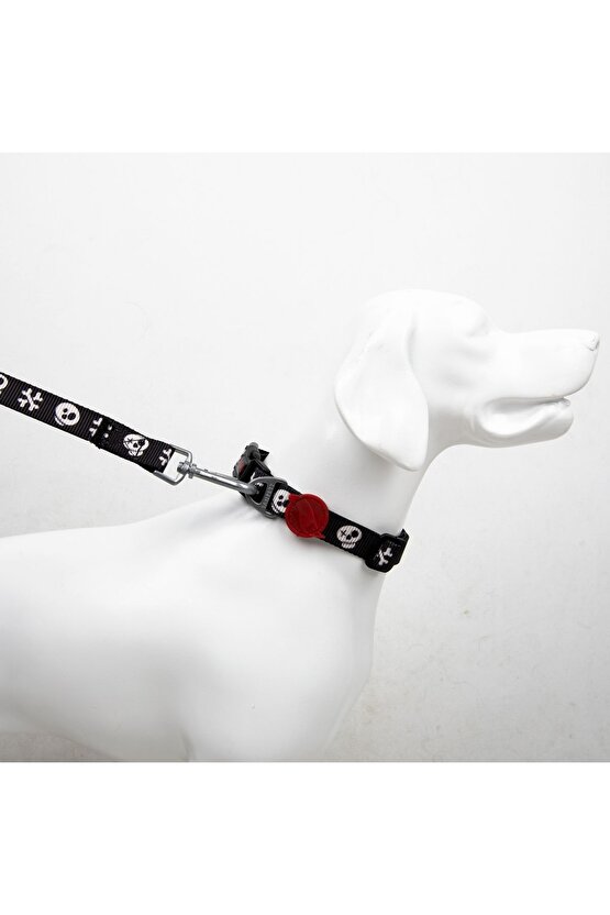 Boo Boyun Tasmaları Ayarlanabilir Dayanıklı Ve Konforlu Köpek Desenli Boyun Tasması