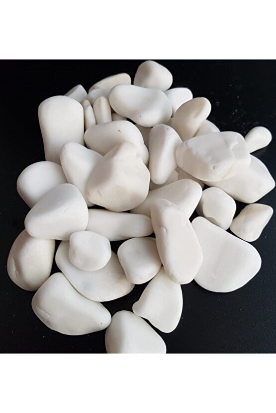 Beyaz Taş 5 Kg 2-4 Cm Beyaz Dolomit Taş Dere Taşı Çakıl Taşı Bahçe Süs Taşı Akvaryum Teraryum Taşı