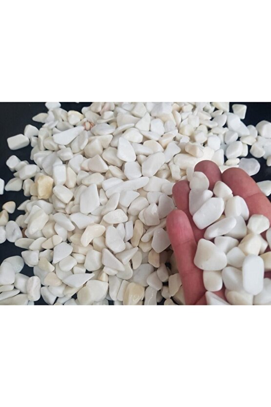 Beyaz Dolomit Taş 5 Kg 1-2 Cm Dere Çakıl Taşı Saksı Taşı Akvaryum Teraryum Taşı Bahçe Taşı 20no.3m